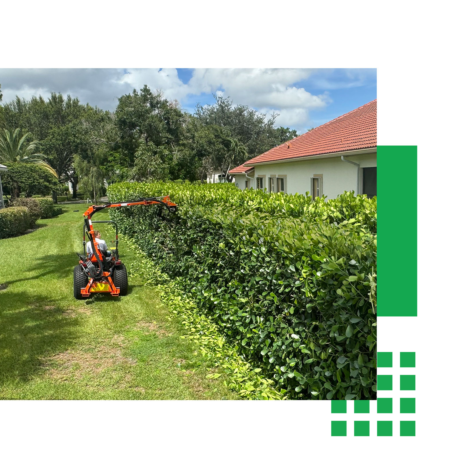 hydraulic hedge trimmer trimming top row of hedge